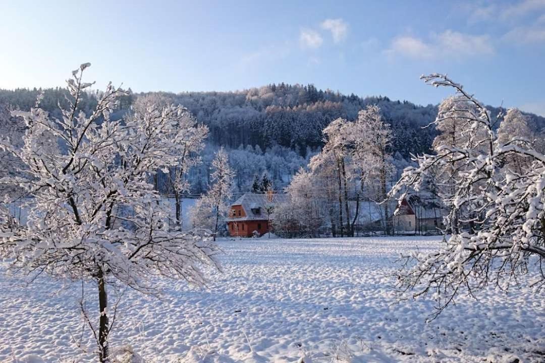 Villa Roubenka Pod Capim Vrchem Velké Losiny Exterior foto